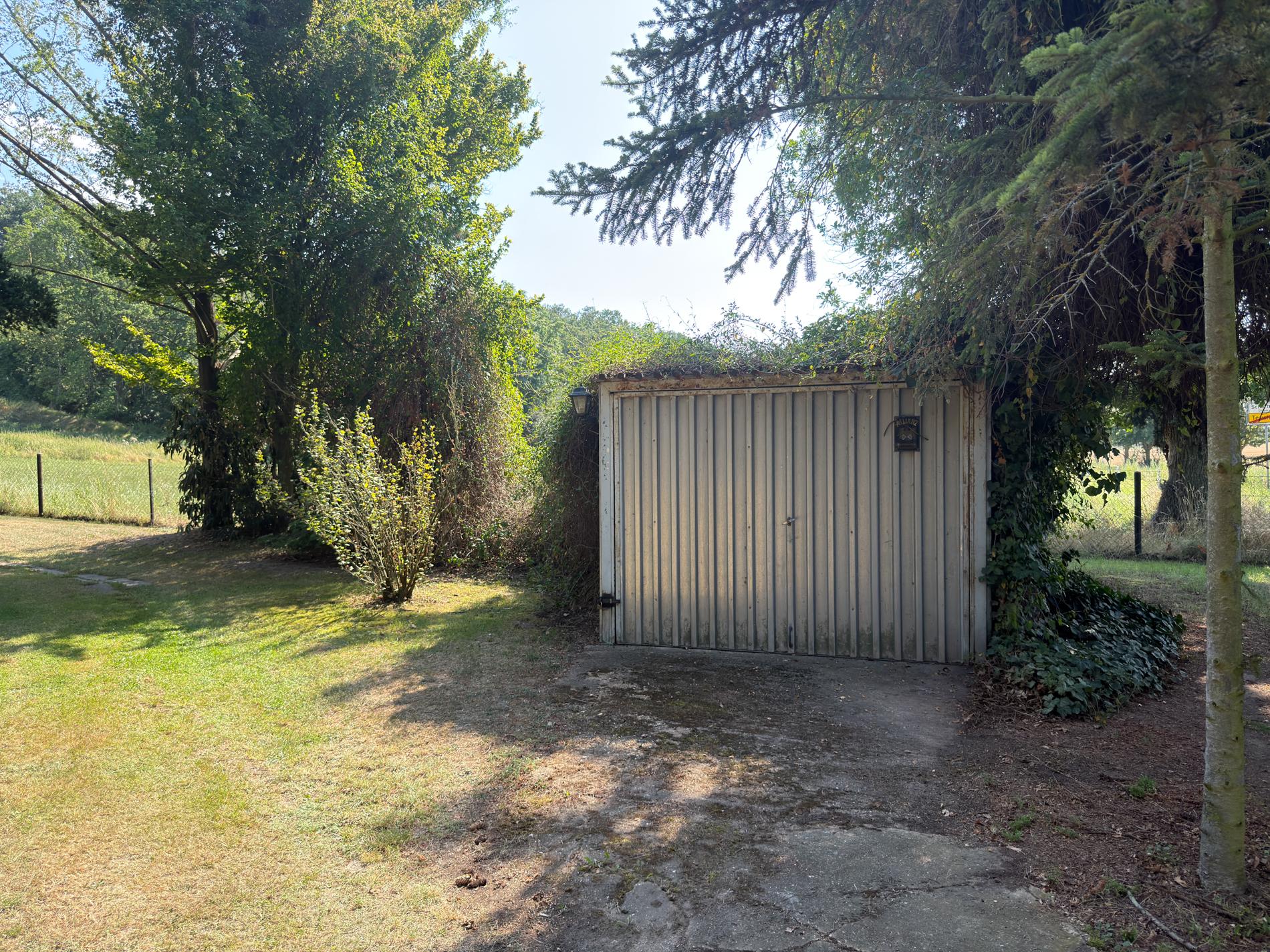Wohnen im Grünen auf über 6.500 m² – Einfamilienhaus mit außergewöhnlichem Grundstück – Bild 7