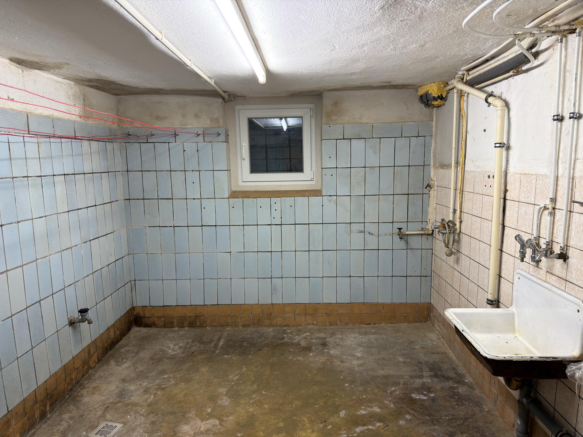 Wohnen im Grünen auf über 6.500 m² – Einfamilienhaus mit außergewöhnlichem Grundstück – Bild 14